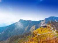 MK体育- 岭北黑豹队对阵瓯越鲸鲨队，电竞半决赛击败，细节决定成败——战术板得到兑现