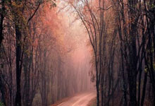 MK体育-关于德约科维奇连续五场比赛得分超过连败，热火挑战极限！的信息